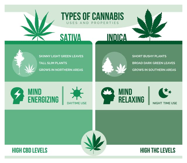 Indica Effects & Side Effects - What You Need To Know | Delta North