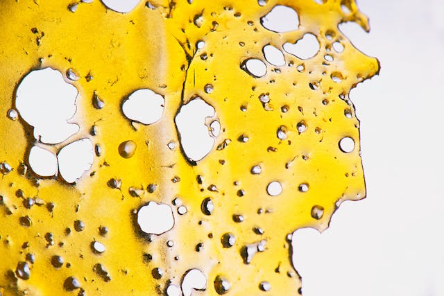 exploring-the-different-types-of-thc-concentrates-delta-north
